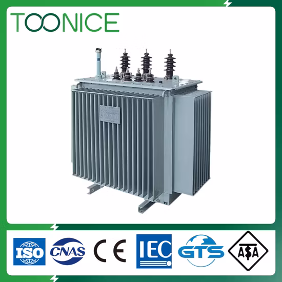 Personalizado 200 250 300 315 350 400 500 600 630 700 750 800 kVA 10kv 11kv 0.4kv Trifásico 3 Transformador de distribución de energía eléctrico reductor sumergido en aceite